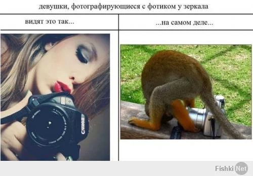 8cc8534b8128523becc733bede5ed3ae.webp