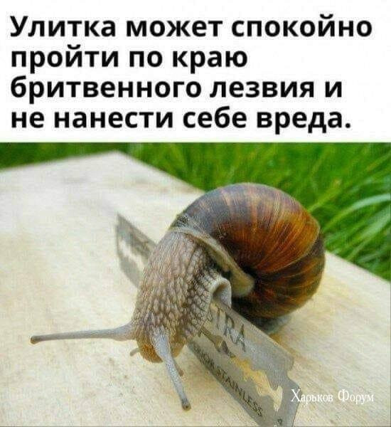 8cdd1cf6b90e5023a1637f.jpg
