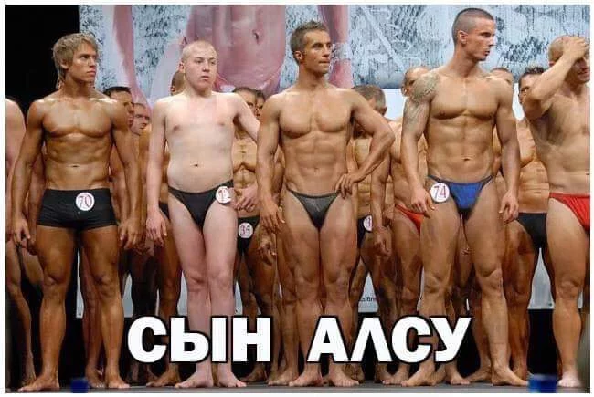 8cghef.webp