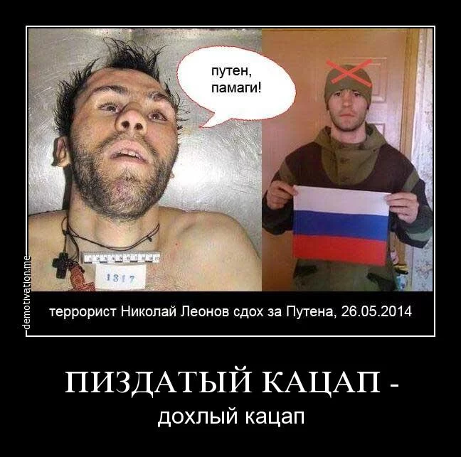 8chgja.webp