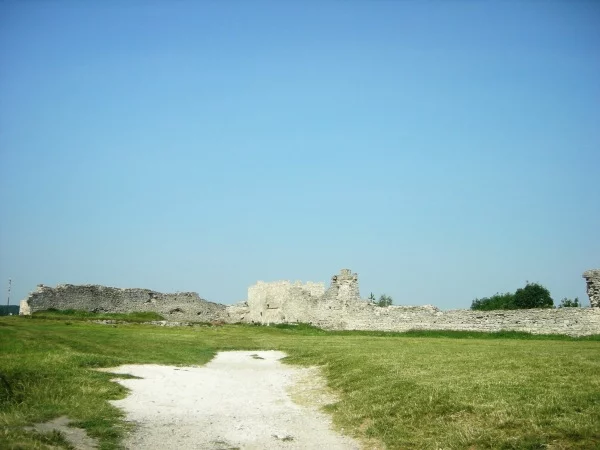 8cjeac.webp