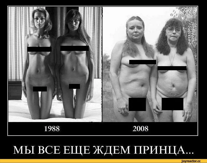 8D%D0%B2%D0%BE%D0%BB%D1%8E%D1%86%D0%B8%D1%8F-71972.webp