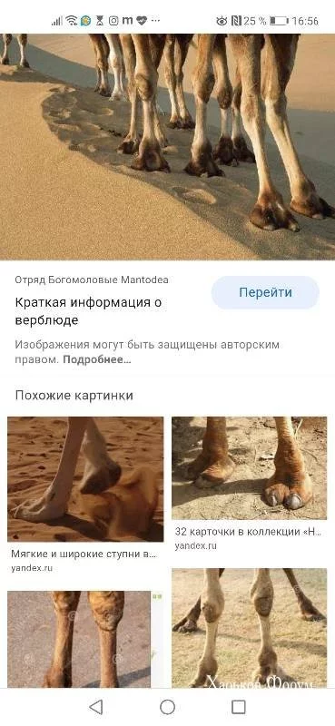 8d08e55ad27c895d.webp