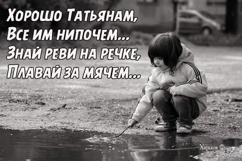 8d20a463748ad6376c07.webp