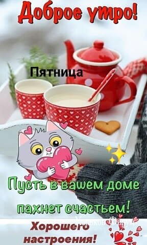 8d4917b63c734530ab5c0.jpg