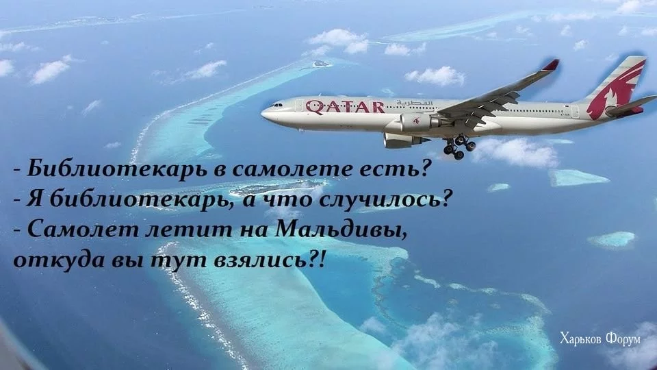 8d57b96fe7d0cdf2b2.webp