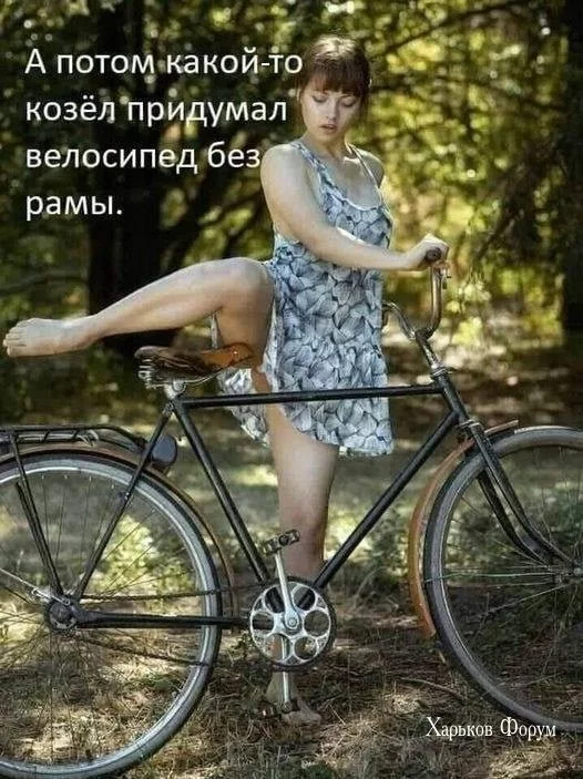 8d6603a3295880200244.webp
