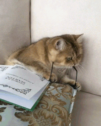 8d87c9a0d2deb00469.gif