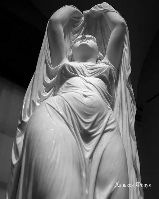 8d8ea70292afd6e0.webp