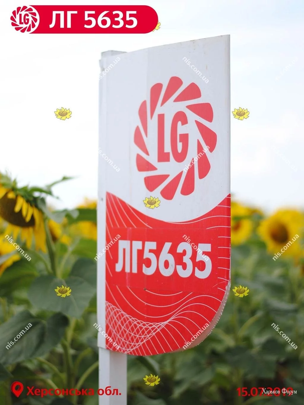 8d920edae6687bf54fbff.webp