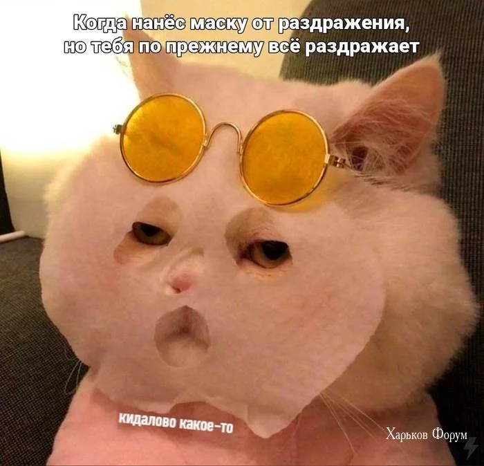 8da19aa6277ebb8d30085f.webp