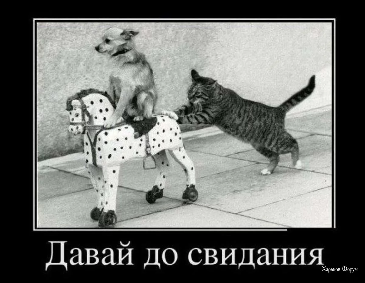 8da9e422cd26f86e8.webp