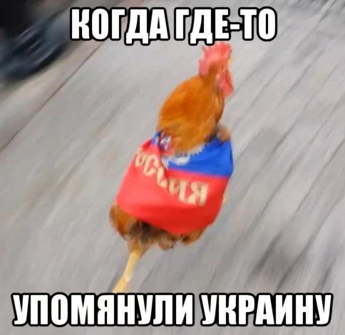 8dafhh.webp