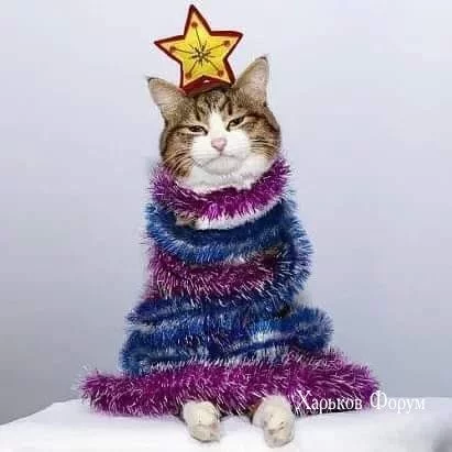 8dbaecae7b5cd9ec4fdf.webp