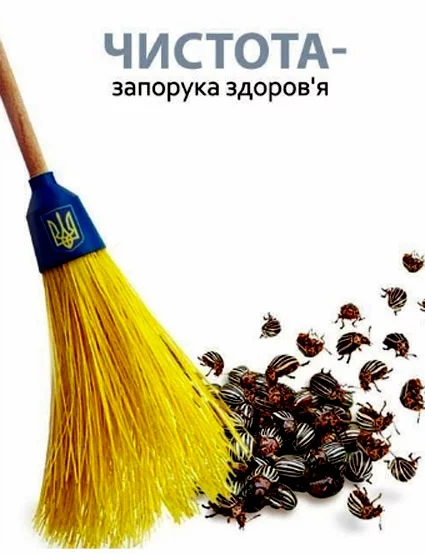 8dbafb.webp