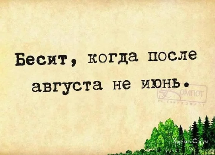 8dbc6c5c5ca4cfaa3a7c7e87.webp
