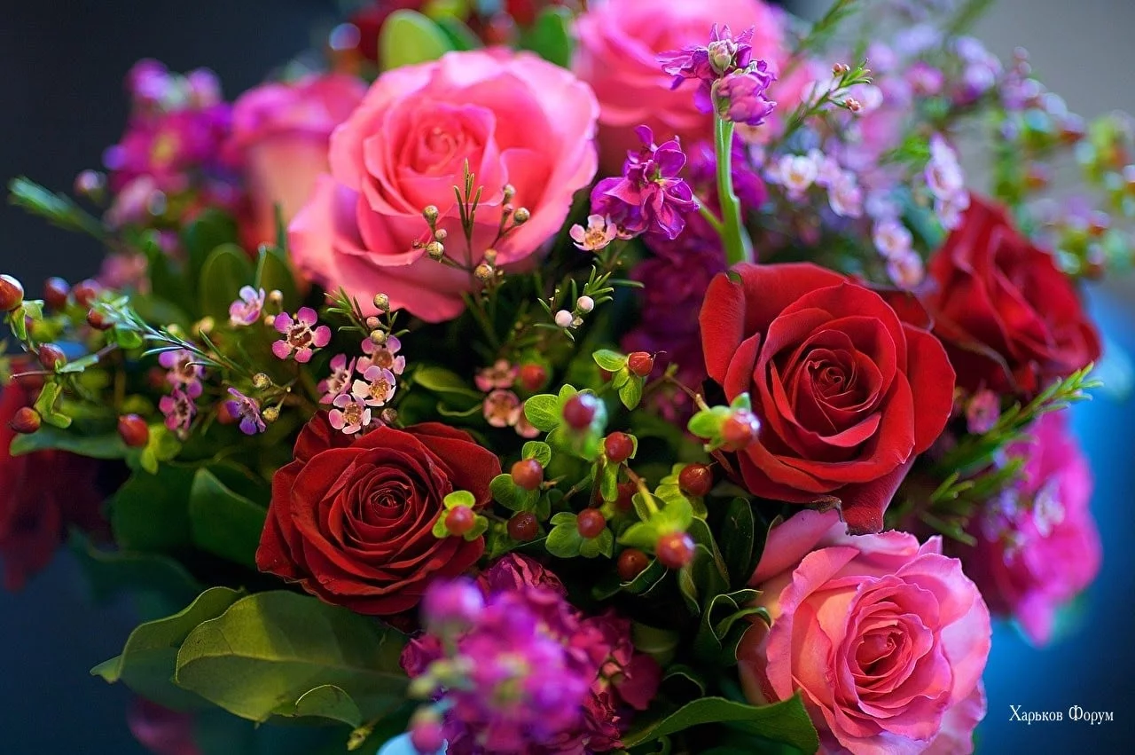 8dbda0341dc2dbccd6df7a93.webp