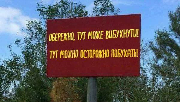 8dbfbh.webp