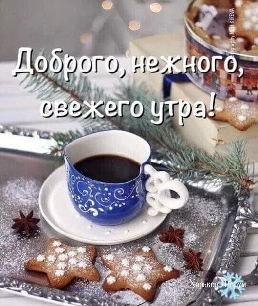8dc68492efdf720b7fb0e3c.webp