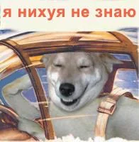 8dcgeg.webp