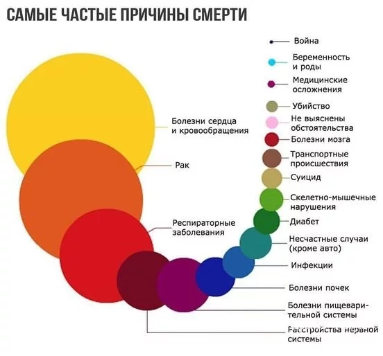 8dd5c6769c326a30a734e.webp