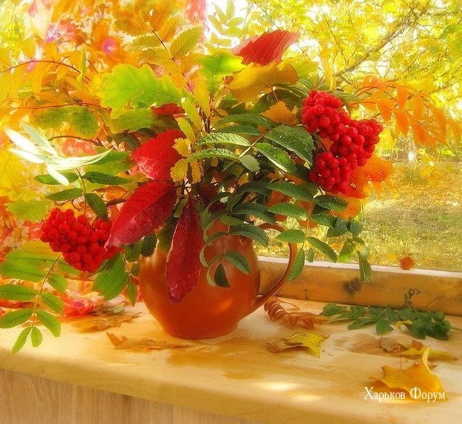 8dfca22d5a2ed60f5.webp