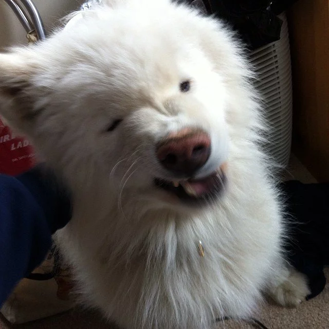 8dfjbe.webp