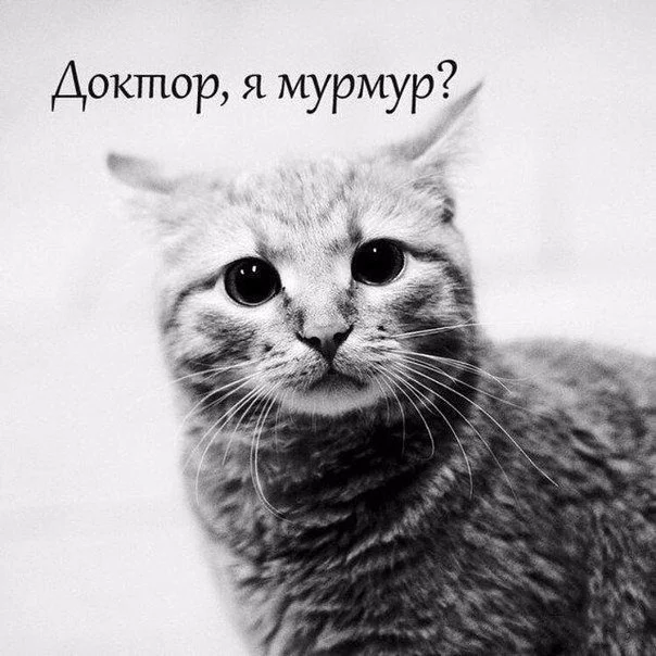 8Dpwnzgaf00.webp