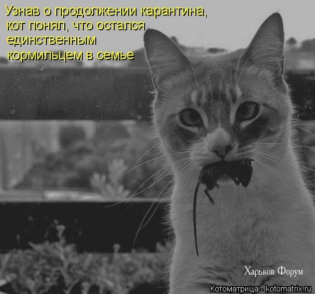 8e2cce25d934a84d.jpg