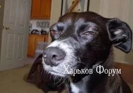 8e2ec2d1f38cfb8d94bf7162.webp