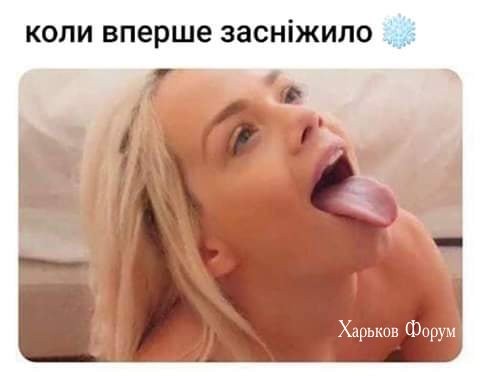 8e524f0239d2a6d80.jpg