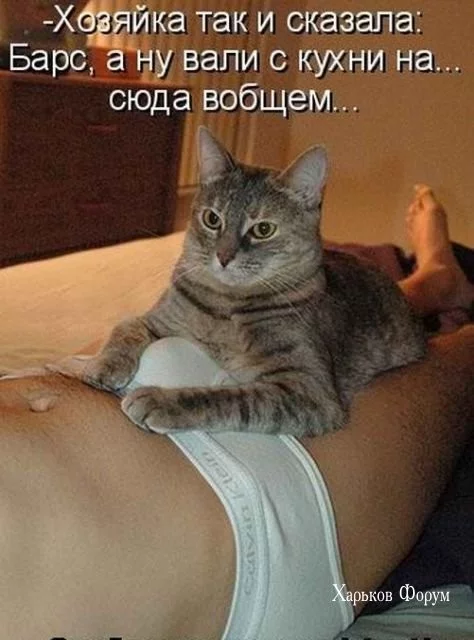 8e52f454263be2e88bf96.webp