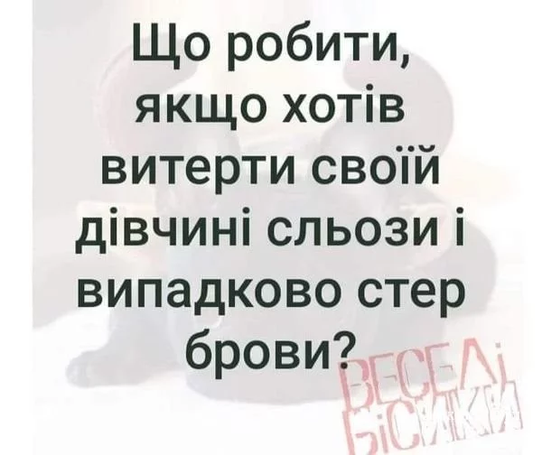 8e55419aa5e8b4b76c1eb26d.webp