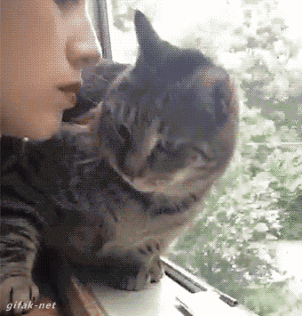 8e63e814543739ab46f395ce643765ec.gif