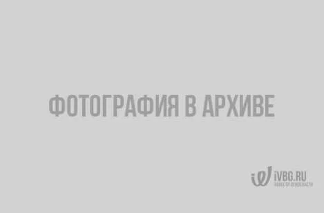8e7c7ca9cdecc3c8f233633485d38e95.webp