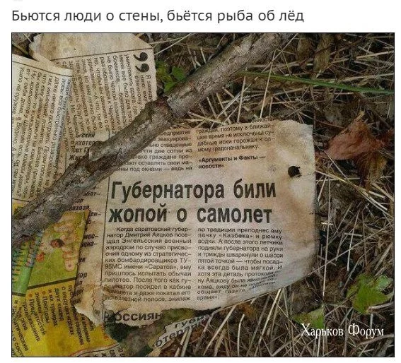 8e7e3467986123c9.webp
