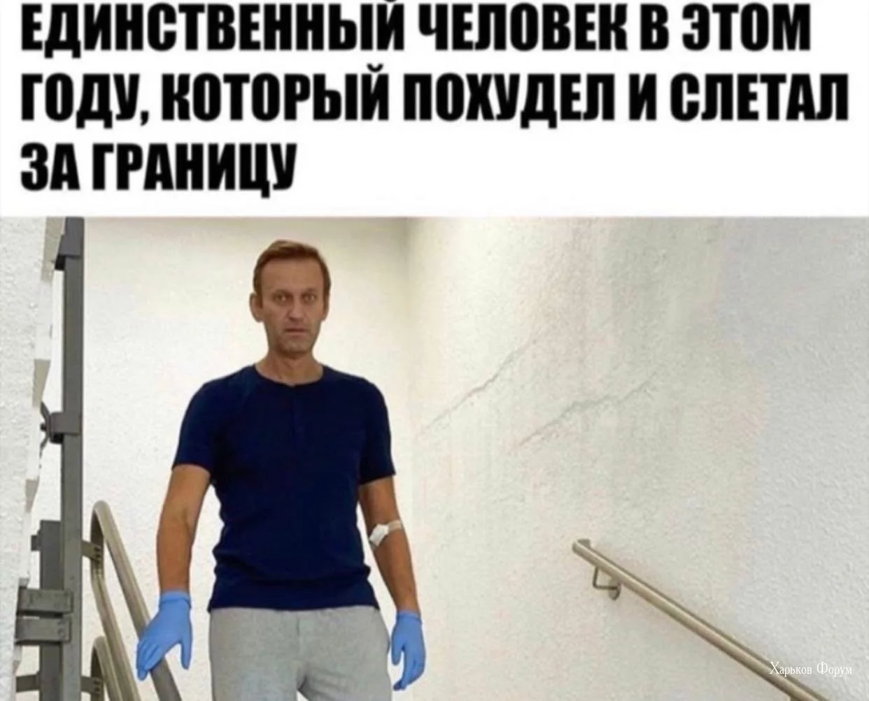 8e8cb38ee7a244871fc.webp