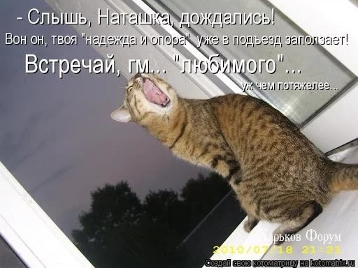 8e8ec0d13253f5d569.webp