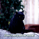 8e90c3e703d6ccd81e612.gif