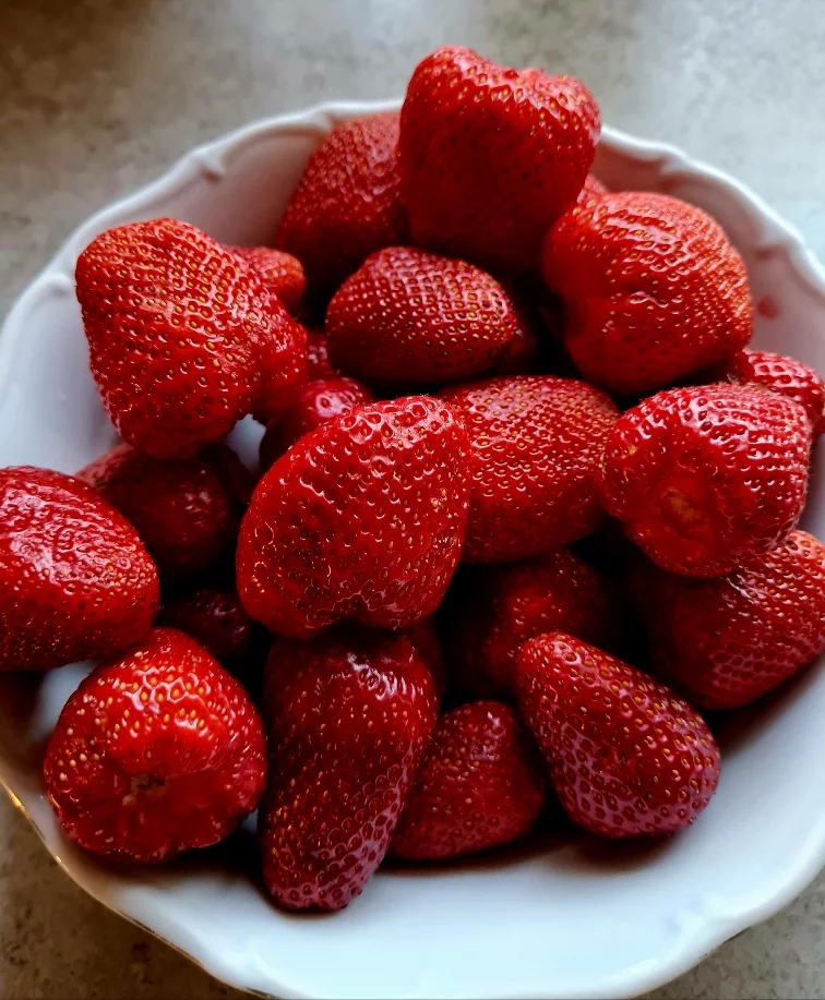 8ea2e971c0bf0aae863b2149bc239713.webp