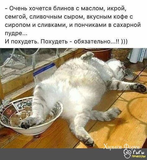 8ea3f2e0fa1172bea73.jpg