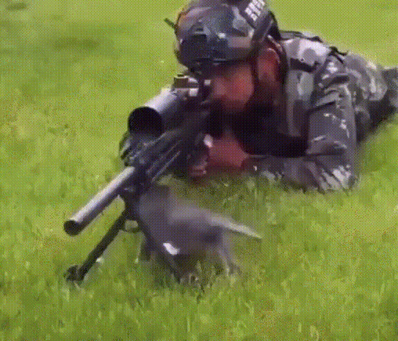8ea4aa4b1ea695bb9.gif