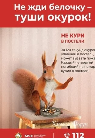 8ea75ba044995fc37da0a78.webp