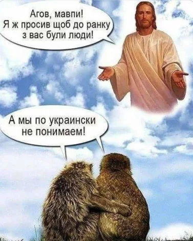 8eadade1d2c4f3aa8c6935bf9f94f0d0.webp