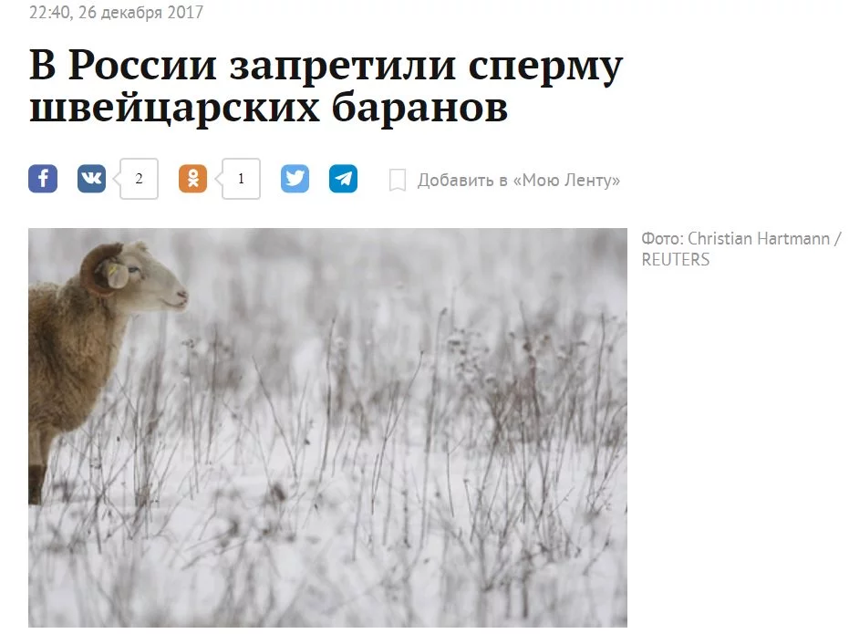 8ebdbg.webp