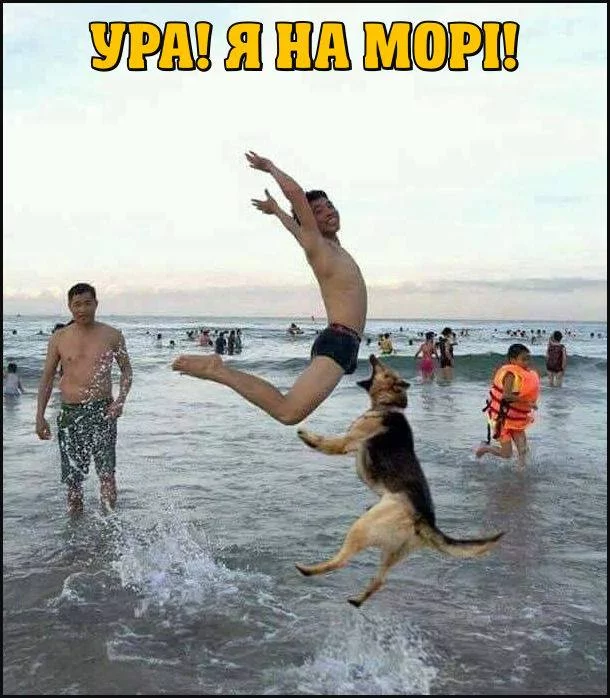 8edcca.webp