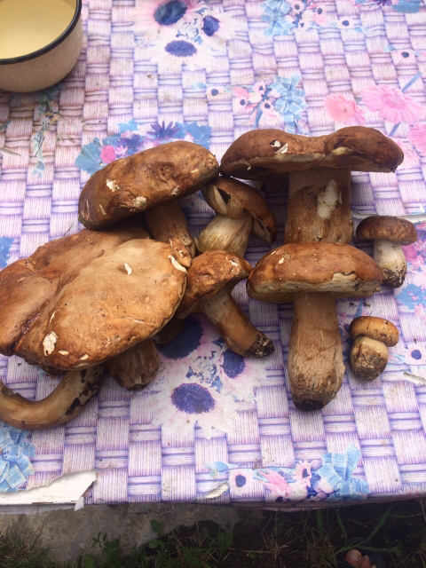 8ef56b39c9e21e9e999dd35371f669f8.jpg