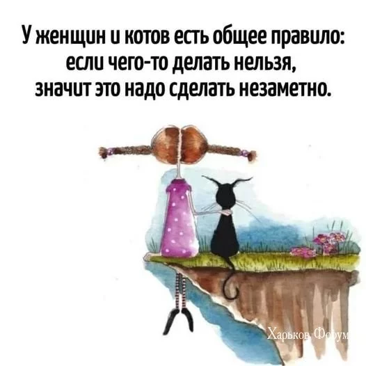 8efe52e553ae93ba.webp