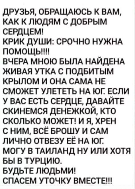 8ehaeb.webp