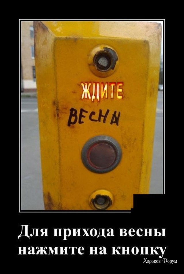 8f08bea15ac5bdd0f8.jpg